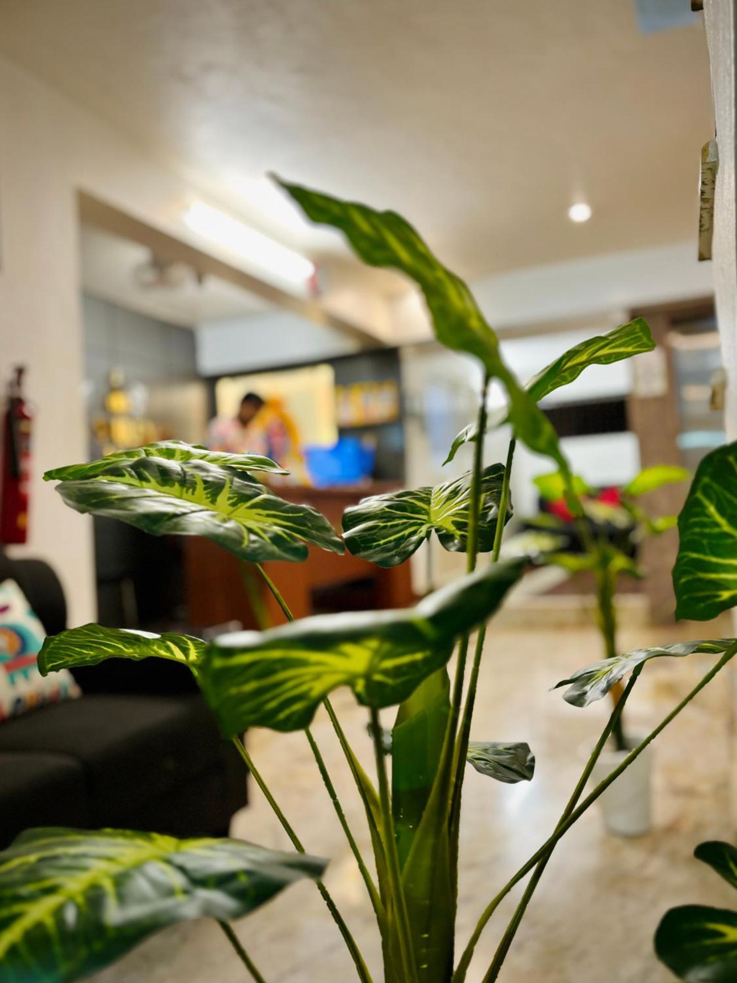Sai Shreyas Residency, Best Hotel Near Bangalore Airport Dod Jala Exterior photo